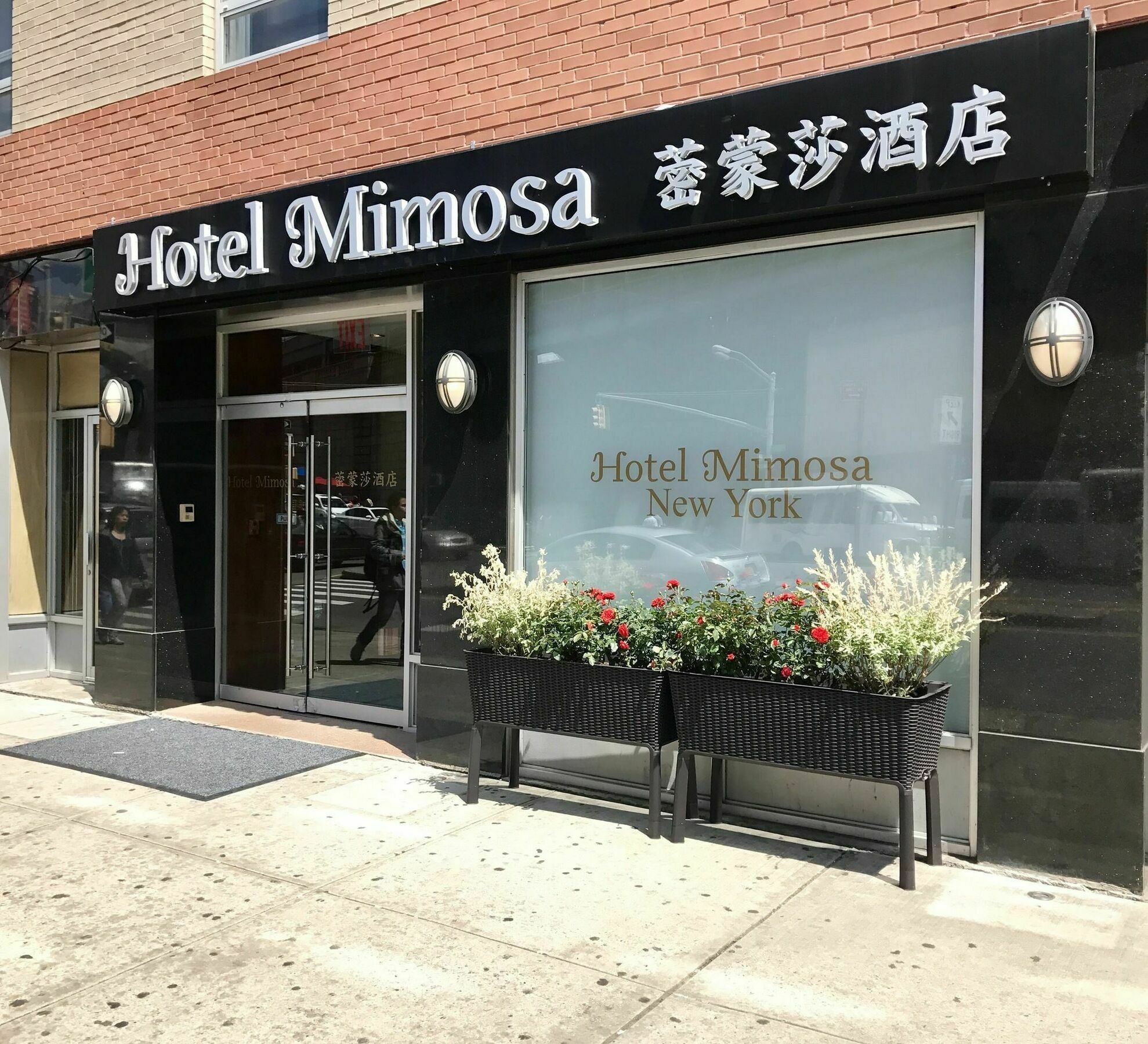 Hotel Mimosa Nueva York Exterior foto